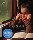 Criterion Collection: My Life As a Dog [Blu-ray] [1985] [US Import]