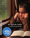 My Life as a Dog (The Criterion Colle...