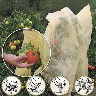 Bio Tomato Fleece Hoods