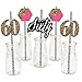 Big Dot of Happiness Chic 60th Birthday - Pink, Black and Gold - Paper Straw Decor - Birthday Party Striped Decorative Straws - Set of 24