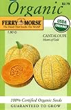 Ferry-Morse 3020 Organic Cantaloupe Seeds, Hearts Of Gold (1.8 Gram Packet)