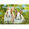 Kaninchen und Freunde 2012