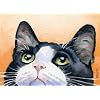 "Tuxedo Cat" Art Print Signed by Artist DJ Rogers