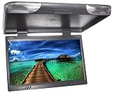 Absolute PFL-2500IRG 25-Inches TFT LCD Overhead Flip Down Monitor with Built-in IR transmitter and Remote Control (Grey)