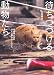 太田康介: 待ちつづける動物たち 福島第一原発20キロ圏内のそれから