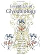 Essentials of Glycobiology, Second Edition