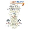 Essentials of Glycobiology, Second Edition