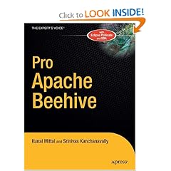 Pro Apache Beehive (Expert's Voice in Java)