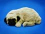 Pug Animated Pet