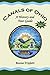Canals Of Ohio: A History And Tour Guide