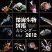 深海生物図鑑 カレンダー 2012年