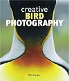 Creative Bird Photography