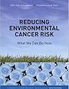 Reducing Environmental Cancer Risk: What We Can Do Now