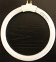 12 Watt 120 Volt Circular Tube Compact Fluorescent Bulb