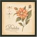 Dahlia Dragonfly Talmud Gift Sign Art Print Framed