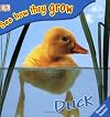 Duck (DK Baby: Bathtime)