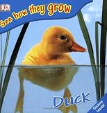 Duck (DK Baby: Bathtime)