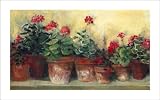 Kathleen's Geraniums by Carol Rowan poster print,32 in. x 20 in.