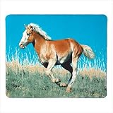 Wild Mustang Fleece Blanket Wild Mustang Fleece Blanket