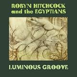 Luminous Groove [Vinyl]