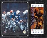 Mounted Memories Indianapolis Colts Super Bowl V Johnny Unitas Plaque w/Replica Ticket