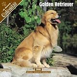 Golden Retrievers 2008 Calendar - Dog Breed 2008 Calendars