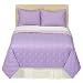 Purple Dots Twin Quilt Image