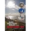 Birdwatching Walks Around Morecambe Bay