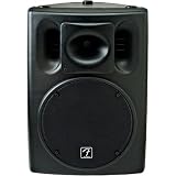 ACE 12 Passive 2Way 800 Watt Speaker