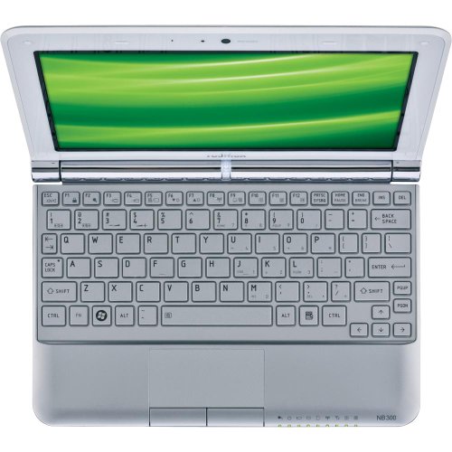 Best Buy Price Guarantee Toshiba Mini NB305-N440WH 10.1-Inch Frost