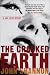 The Cracked Earth: A Jack Liffey Mystery
