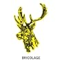Bricolage [Vinyl]