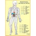 Masunaga Zen Shiatsu Ketsu
