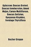 Apiaceae: Daucus Broteri, Daucus Involucratus, Ammi Majus, Carum Multiflorum, Daucus Guttatus, Opopanax Hispidus, Ferulago Thyrs-