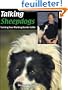 Talking Sheepdogs: Training Your Working Border Collie