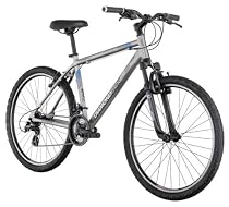 Diamondback Sorrento Mountain Bike (26-Inch Wheels), Silver, Medium/18-Inch