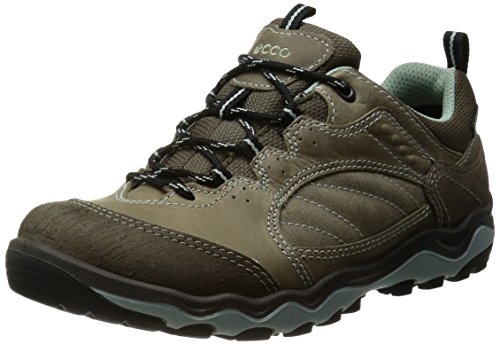 ECCO Women's Ulterra Lo GTX Oxford