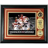 MLB Washington Nationals Team Force 24KT Gold Coin Photo Mint
