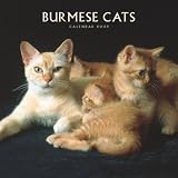Burmese Cats 2009 Wall Calendar