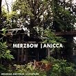 Anicca