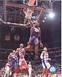 Amare Stoudamire Autographed / Signed 8x10 Photo