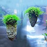 Avatar Pumice Stone Aquarium Decoration Rock