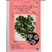 ハーブ　タキイ　コリアンダー（コウサイ）　タキイのハーブ種です