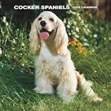 Cocker Spaniels 2008 Wall Calendar