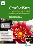 Avanquest Romany Growing Plants Interactive Encyclopedia 3 (PC) Software