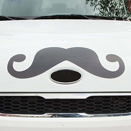 Bits and Pieces - Funny Mustache Magnet - Perfect for Any Large Metal Object - Cars, Refrigerators, Garage Doors