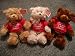 Bear Hugs Teddy Could you use a hug today? Tee 11.5