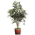 Faux Maple Tree- 5'