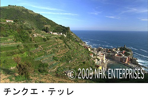 空撮 世界遺産 文化編 [DVD]