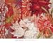 Crimson Malay II - Kate Birch Art Print Poster 24 x 20